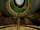 DmTreeOfLife - 2