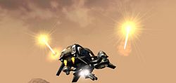 Cicada Shooting.jpg