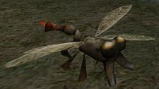 Fly.jpg