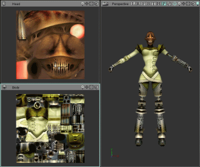 Skins for Head and Body imported