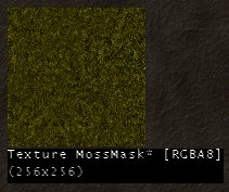 the texture