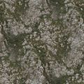 Legacy AS RockGrassy0037 L 3.jpeg