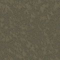 Legacy DMSiesmic MudTextureSeemless.jpeg