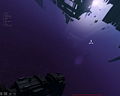 Legacy FoxpawsCruiser1.jpeg
